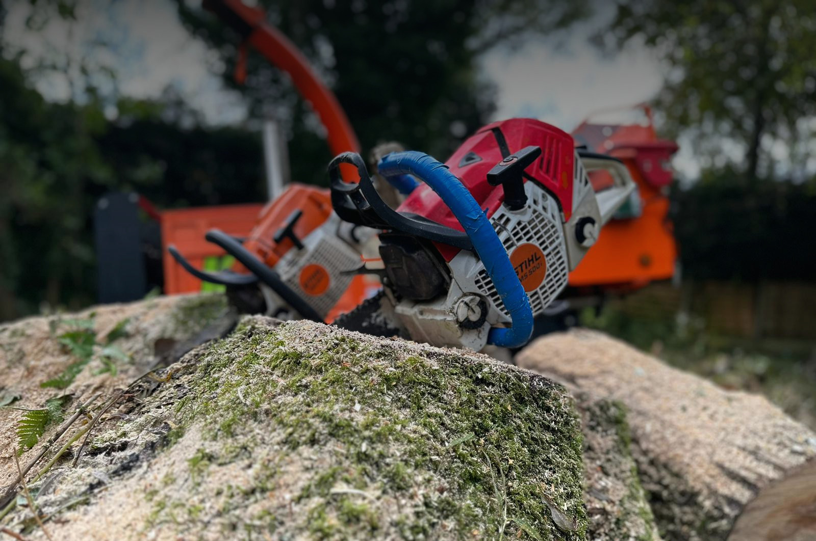 TGS Tree Care